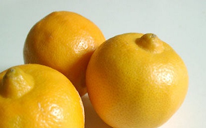 images/fruits/bergamote-fruit.jpg