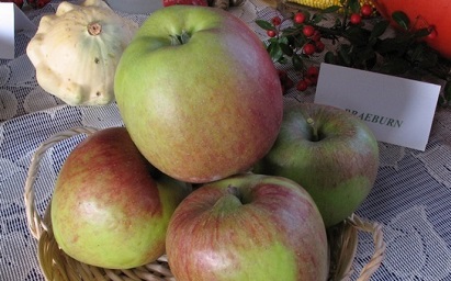 images/fruits/pomme-breaburn.jpg